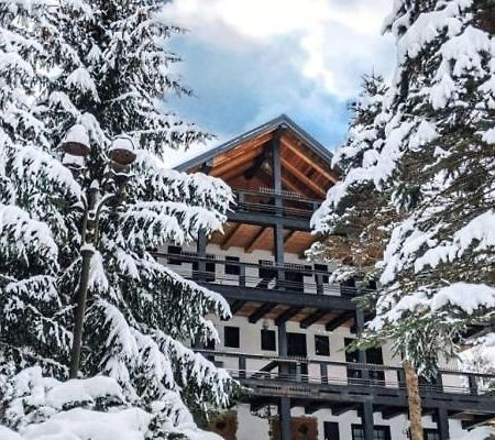 Cabana Serenade Sucevita Bagian luar foto