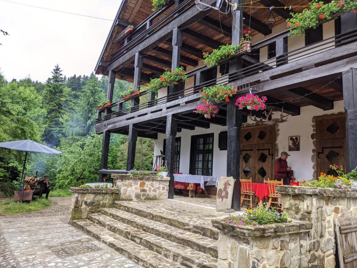 Cabana Serenade Sucevita Bagian luar foto